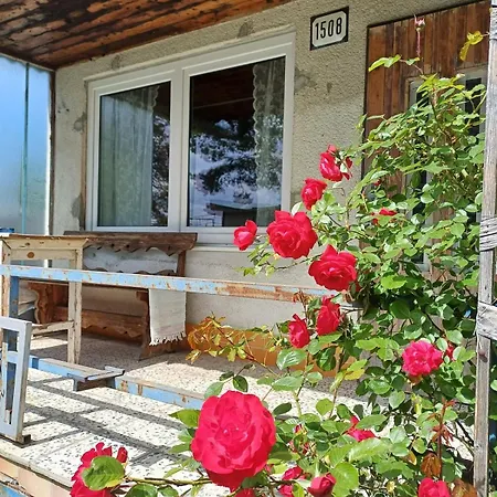 The Sunny-side Garden Escape
